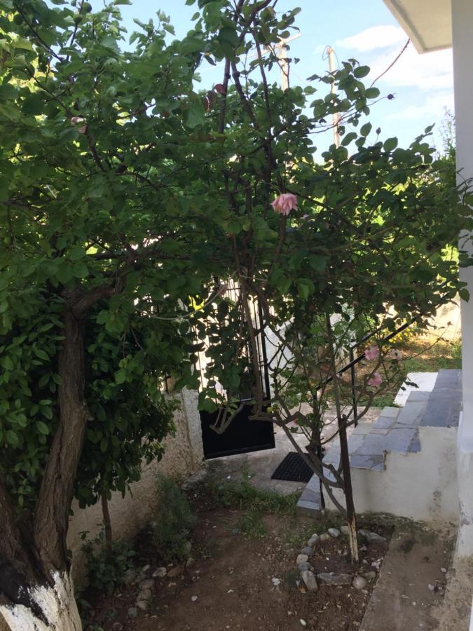 Rose'S Place 阿特米达 外观 照片